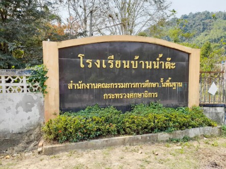 4556_p19245