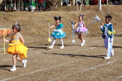 img_6165_p66331